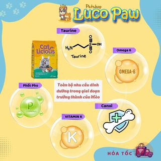 Cat Licious ( Combo 1kg x 20 gói ) Vị Cá Biển - Hạt khô dành cho mèo trưởng thành Luco Paw Petshop