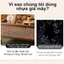 Xe đẩy phòng khách Xe đẩy hai tầng Đa năng Phù hợp nhiều không gian Không gian lưu trữ lớn