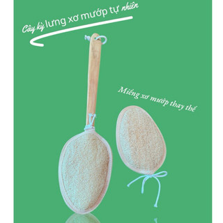 COMBO Cây Kỳ Lưng Xơ Mướp Tự Nhiên(Cán dẹt) + Miếng Xơ Mướp Thay Thế KB Ecolife Làm Sạch Sâu Tẩy Tế Bào Chết