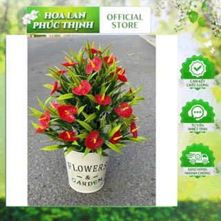 HOA LAN PHÚC THỊNH – OFFICIAL STOREChậu Hoa Hồng Môn Giả – Sắc Đỏ Rực Rỡ, Tôn Vinh Không Gian Sống