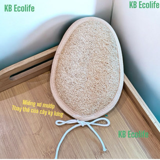 Miếng Xơ Mướp Thay Thế Cây Kỳ Lưng Bằng Xơ Mướp KB Ecolife Tiện Dụng Tiết Kiệm