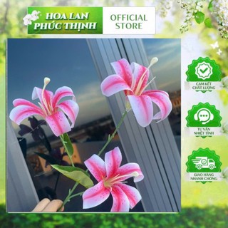 🌸 HOA LAN PHÚC THỊNH – OFFICIAL STORE Cành Hoa Ly Giả 3 Bông – Sang Trọng, Tươi Tắn Như Hoa Thật