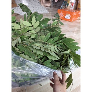 1kg lá ô môi tươi ( hàng sạch mọc tự nhiên)