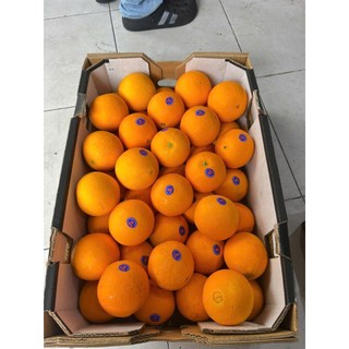 ( JENNYFRUIT) ( HỎA TỐC) CAM ÚC  ruột vàng 1kg/3 trái