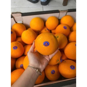 CAM ÚC ruột vàng 1kg/3 trái