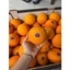 CAM ÚC ruột vàng 1kg/3 trái