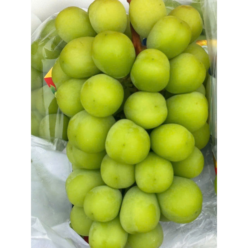[Hoả Tốc]Nho Mẫu Đơn -Chùm Bắp To -Nặng Kg - Giòn Ngọt - [Hộp 550-700g]