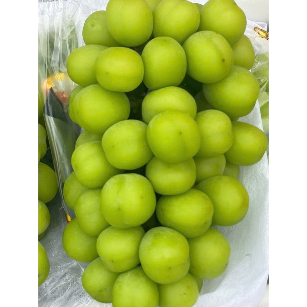 [Hoả Tốc]Nho Mẫu Đơn -Chùm Bắp To -Nặng Kg - Giòn Ngọt - [Hộp 550-700g]