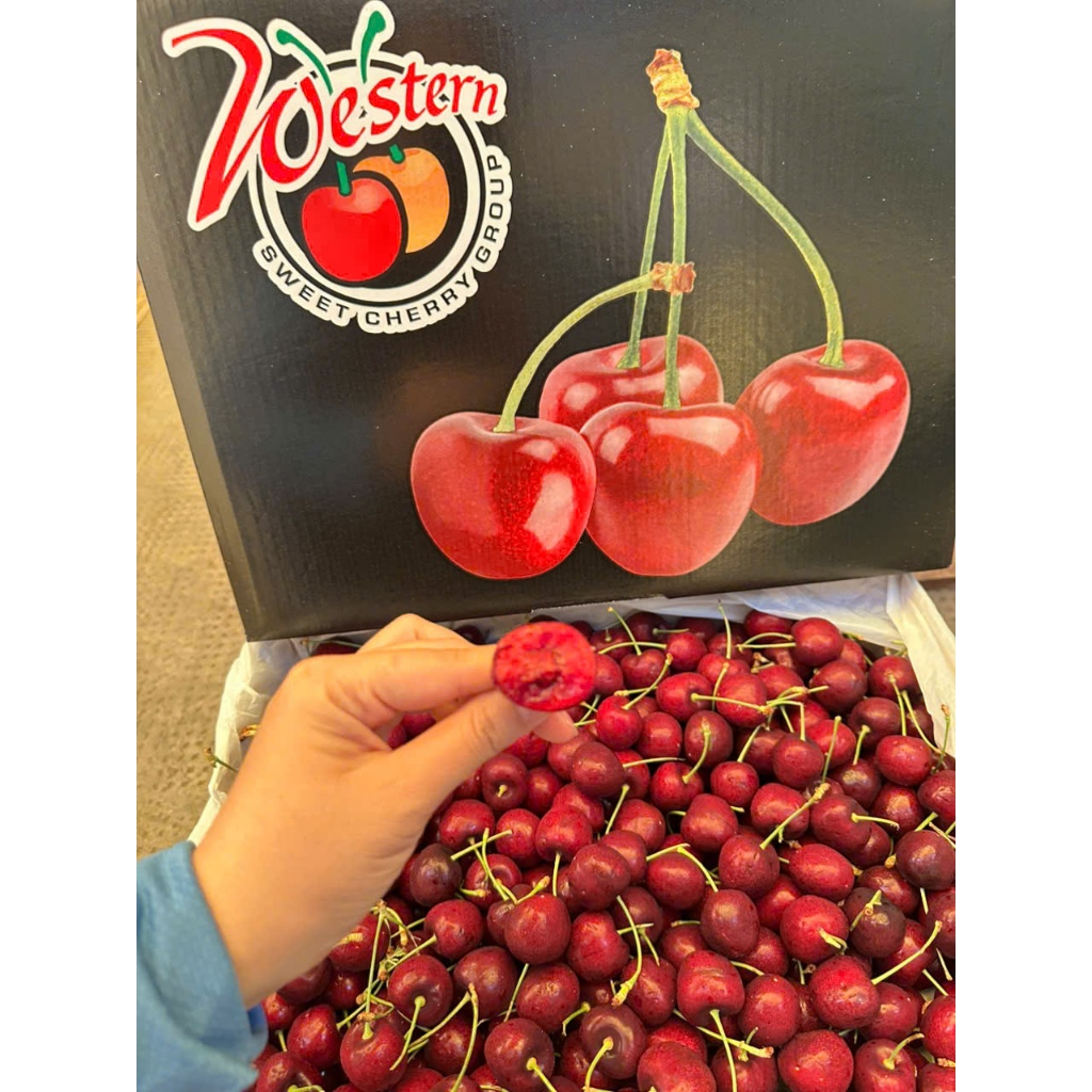 [ Chỉ Giao HCM ] Cherry Mỹ Ngọt Thanh- HỘP 1KG
