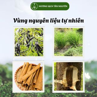 [OCOP 4 SAO - TẶNG HƯƠNG ĐẠO TRẦM CAO CẤP] Hộp 45 viên nụ trầm hương thiên nhiên cao cấp Tân Nguyên, thơm tinh khiết