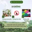Nụ Bồ Kết Sạch Thiên Nhiên Đuổi Muỗi Tân Nguyên, Hộp 45 Viên, Thanh Lọc Không Khí, Khử Ẩm Mốc