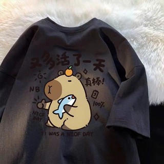 Áo thun phông nữ nam KONOVA form rộng chất liệu cotton khô loại 1 in hình CABYBARA