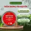 Hộp 45 Viên Nụ trầm Hương Tự Nhiên Tân Nguyên, hương thơm dịu nhẹ, xông nhà, thanh lọc không khí