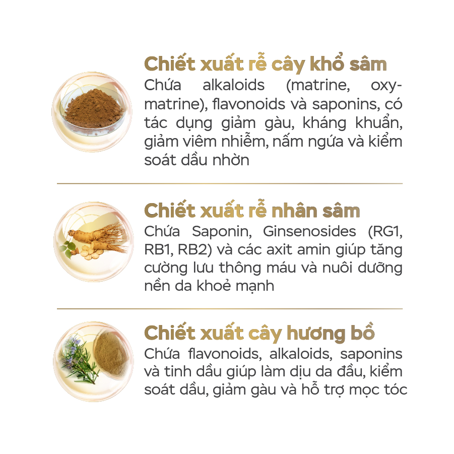 Dầu Gội Tế Bào Gốc E-SPECIAL EXO SCALP& HAIR CLEANSING MD Hỗ trợ Mọc Tóc Giảm Rụng Chăm Sóc Nang Tóc Chắc Khoẻ 300ml