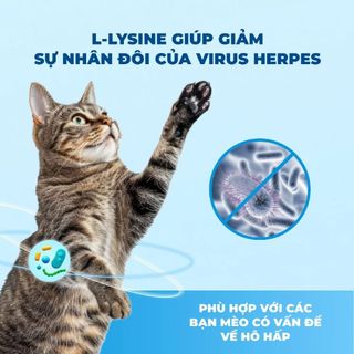 MRVET / Mr Vet 1KG Thức Ăn Cho Mèo Hạt Topping Cao Cấp T1, T2, T3, T4, G1 - LUCOPAW PETSHOP