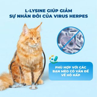 MRVET 5KG - 10KG Thức ăn cho mèo hạt Topping Cao Cấp T1, T2, T3, T4, G1 LUCOPAW Petshop