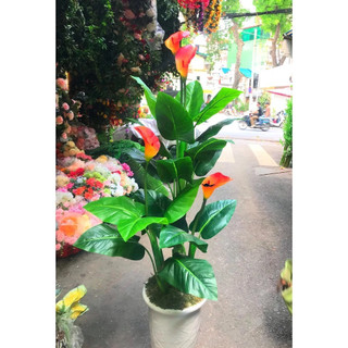Combo 3 cây hoa Rum cao cấp decor cực đẹp cao 1m5- Cây giả trang trí