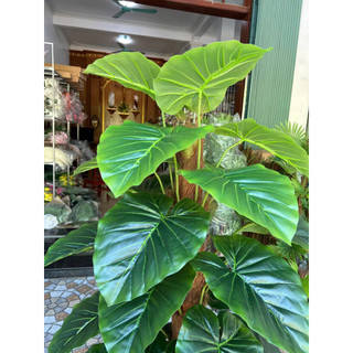 Cây Trầu Bà Nam Mỹ Giả 1m7 Lá PE Cao Cấp Thân Gỗ Phủ Rơm Decor Nhà Cửa Quán Cafe Văn Phòng Cây Không Chậu