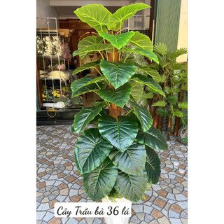 Cây Trầu Bà Nam Mỹ Giả 1m7 Lá PE Cao Cấp Thân Gỗ Phủ Rơm Decor Nhà Cửa Quán Cafe Văn Phòng Cây Không Chậu