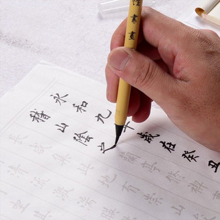 Bút Lông Bơm Mực Luyện Viết Chữ Hán – Viết Thư Pháp, Chép Kinh, Viết Sớ – Kèm Lọ Mực Chuyên Dụng