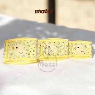 Tã bỉm quấn vải PetStyle lót tã cho chó đực