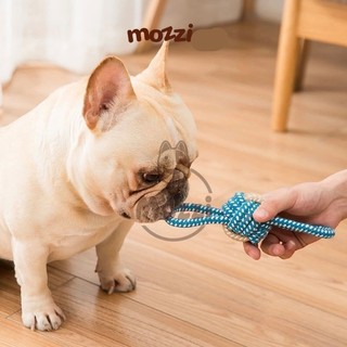 Đồ chơi gặm cho chó Dây thừng cotton bện màu xanh lá