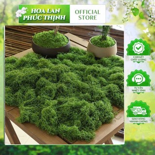 🌿 RÊU SỢI NHÂN TẠO – 100G | HAI MÀU XANH ĐẬM & XANH NHẠT 🔰 Sản phẩm từ HOA LAN PHÚC THỊNH – OFFICIAL STORE