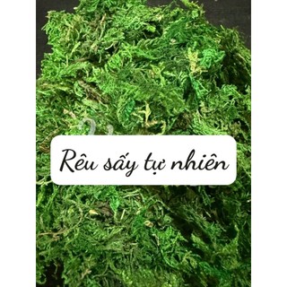 🌿 RÊU SỢI NHÂN TẠO – 100G | HAI MÀU XANH ĐẬM & XANH NHẠT 🔰 Sản phẩm từ HOA LAN PHÚC THỊNH – OFFICIAL STORE