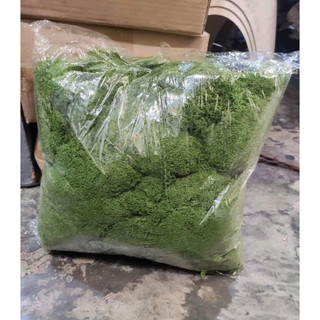 🌿 RÊU SỢI NHÂN TẠO – 100G | HAI MÀU XANH ĐẬM & XANH NHẠT 🔰 Sản phẩm từ HOA LAN PHÚC THỊNH – OFFICIAL STORE