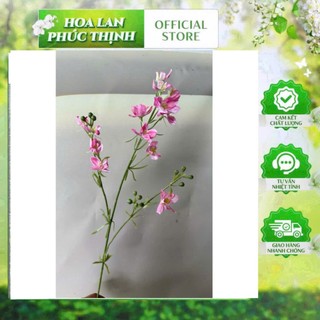 🌸 CÀNH HOA THANH TƯỚC GIẢ CAO CẤP – NHẸ NHÀNG, THANH THOÁT 🔰 Sản phẩm từ HOA LAN PHÚC THỊNH – OFFICIAL STORE