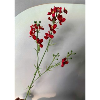 🌸 CÀNH HOA THANH TƯỚC GIẢ CAO CẤP – NHẸ NHÀNG, THANH THOÁT 🔰 Sản phẩm từ HOA LAN PHÚC THỊNH – OFFICIAL STORE