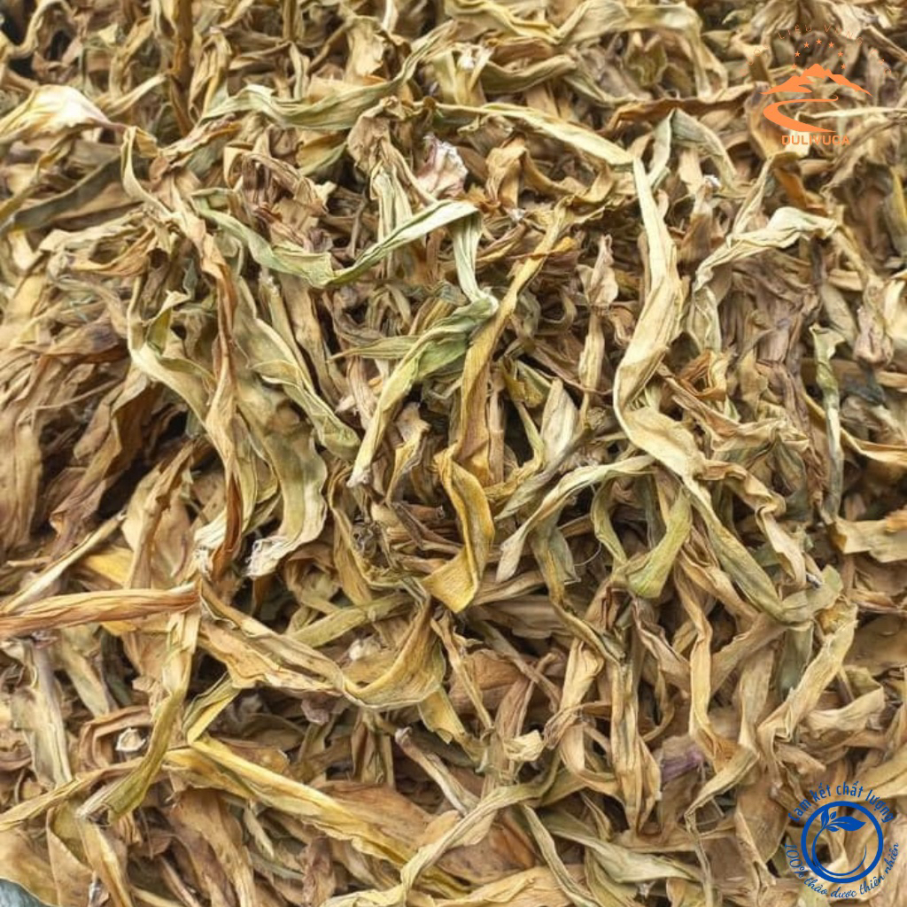 Trinh Nữ Hoàng Cung, Hỗ Trợ Giảm U Nang, U Xơ, Kinh Nguyệt Không Đều