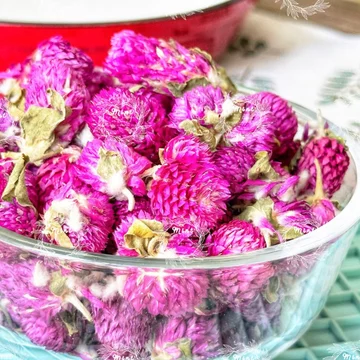 Trà Hoa Cúc Bách Nhật Tím Sấy Khô (Hoa Cúc Pha Lê - Cúc Mút Áo - Hoa Bi - Hoa Cúc Sấy Khô - Gomphrena Globosa) Túi 500Gr