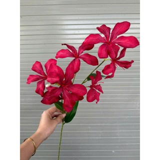 🌸 CÀNH HOA BAN RỪNG GIẢ – 7 BÔNG LỤA CAO CẤP | DÁNG CAO, MỀM MẠI 🔰 Sản phẩm từ HOA LAN PHÚC THỊNH – OFFICIAL STORE