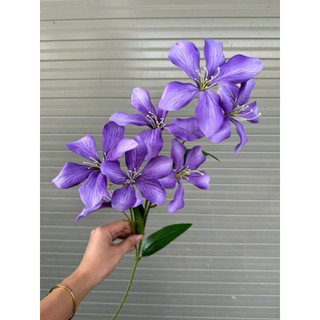 🌸 CÀNH HOA BAN RỪNG GIẢ – 7 BÔNG LỤA CAO CẤP | DÁNG CAO, MỀM MẠI 🔰 Sản phẩm từ HOA LAN PHÚC THỊNH – OFFICIAL STORE