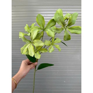 🌸 CÀNH HOA BAN RỪNG GIẢ – 7 BÔNG LỤA CAO CẤP | DÁNG CAO, MỀM MẠI 🔰 Sản phẩm từ HOA LAN PHÚC THỊNH – OFFICIAL STORE