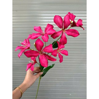 🌸 CÀNH HOA BAN RỪNG GIẢ – 7 BÔNG LỤA CAO CẤP | DÁNG CAO, MỀM MẠI 🔰 Sản phẩm từ HOA LAN PHÚC THỊNH – OFFICIAL STORE