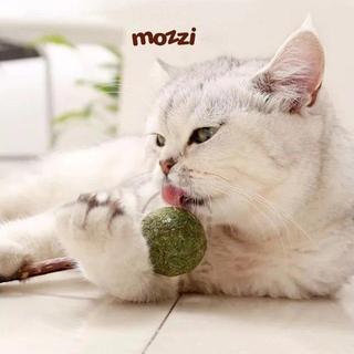 Viên Catnip dán tường cho mèo