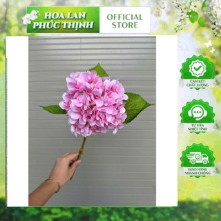 🌸combo 5 CÀNH HOA CẨM TÚ CẦU VẢI IN 3D CAO CẤP-50CM | HOA TO,MÀU SẮC NGỌT NGÀO🔰Sản phẩm từ HOA LAN PHÚC THỊNH – OFFICIAL