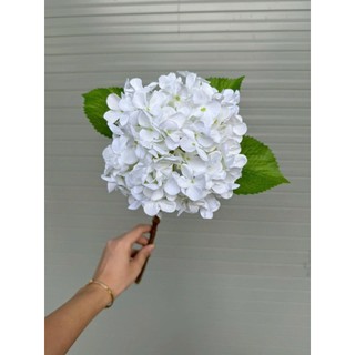 🌸combo 5 CÀNH HOA CẨM TÚ CẦU VẢI IN 3D CAO CẤP-50CM | HOA TO,MÀU SẮC NGỌT NGÀO🔰Sản phẩm từ HOA LAN PHÚC THỊNH – OFFICIAL