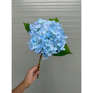 🌸combo 5 CÀNH HOA CẨM TÚ CẦU VẢI IN 3D CAO CẤP-50CM | HOA TO,MÀU SẮC NGỌT NGÀO🔰Sản phẩm từ HOA LAN PHÚC THỊNH – OFFICIAL
