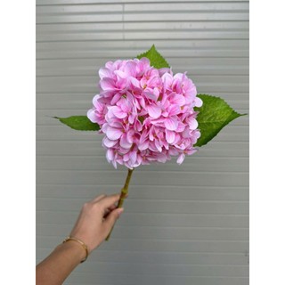 🌸combo 5 CÀNH HOA CẨM TÚ CẦU VẢI IN 3D CAO CẤP-50CM | HOA TO,MÀU SẮC NGỌT NGÀO🔰Sản phẩm từ HOA LAN PHÚC THỊNH – OFFICIAL