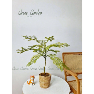 Cây Gỉa Lá Mảnh Kiểu Nhật Mini | Decor Góc Sống Tối Giản & Thanh Lịch – Green Garden