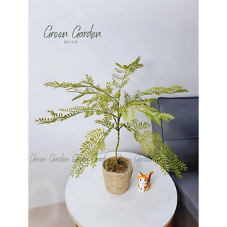 Cây Gỉa Lá Mảnh Kiểu Nhật Mini | Decor Góc Sống Tối Giản & Thanh Lịch – Green Garden