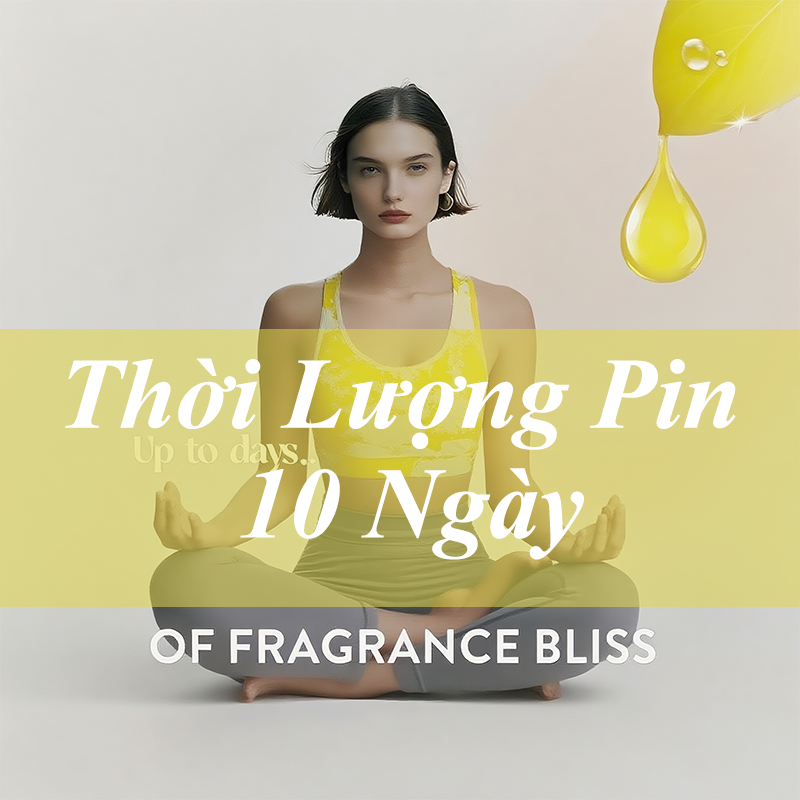 WECONA Chính hãng，Máy Xông Tinh Dầu Trực Tiếp Không Dùng Nước，Máy Khuếch Tán Tinh Dầu Có Pin Tích Điện，Khuếch tán tinh d