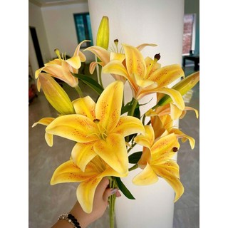 🌸 Cụm Hoa Ly cao su 9bông ,3nụ xốp Trang Trí – Vẻ Đẹp Thanh Lịch & Quyến Rũ 🌸 ✨ Thương hiệu: Hoa Lan Phúc Thịnh ✨
