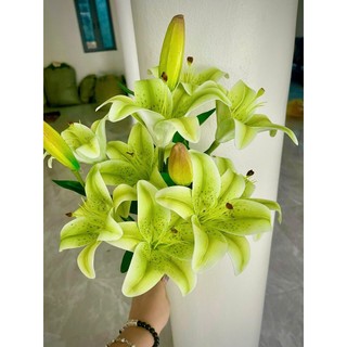 🌸 Cụm Hoa Ly cao su 9bông ,3nụ xốp Trang Trí – Vẻ Đẹp Thanh Lịch & Quyến Rũ 🌸 ✨ Thương hiệu: Hoa Lan Phúc Thịnh ✨