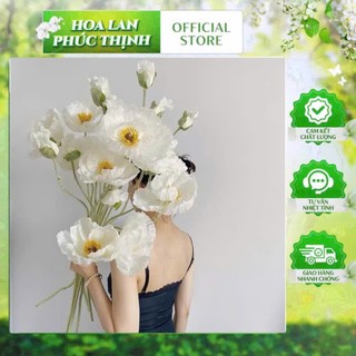 🌼 Hoa Anh Túc Đại 110cm thân phủ phấn nhung– Tinh Khôi & Nghệ Thuật ✨ Thương hiệu: Hoa Lan Phúc Thịnh ✨