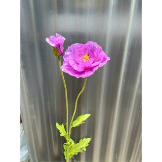 🌼 Hoa Anh Túc Đại 110cm thân phủ phấn nhung– Tinh Khôi & Nghệ Thuật ✨ Thương hiệu: Hoa Lan Phúc Thịnh ✨