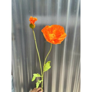 🌼 Hoa Anh Túc Đại 110cm thân phủ phấn nhung– Tinh Khôi & Nghệ Thuật ✨ Thương hiệu: Hoa Lan Phúc Thịnh ✨